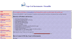 Desktop Screenshot of oceanbiz.net